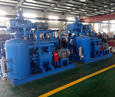 二(er)級氣冷(leng)羅茨泵(beng)